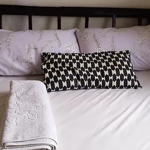 Mini Lookout Apartment